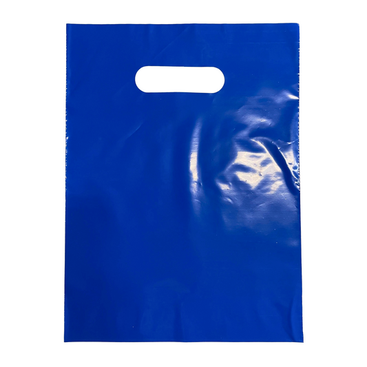 Royal Blue Supply Bag, 9X12, 100 Bags